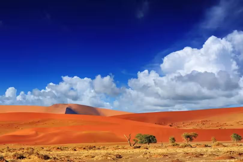 Namibia – Höhepunkte zwischen Kalahari und Namib