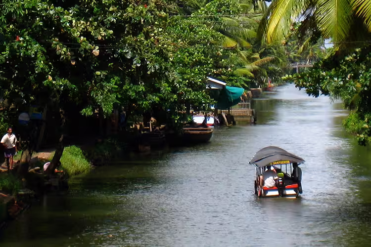 Premium South India - 1