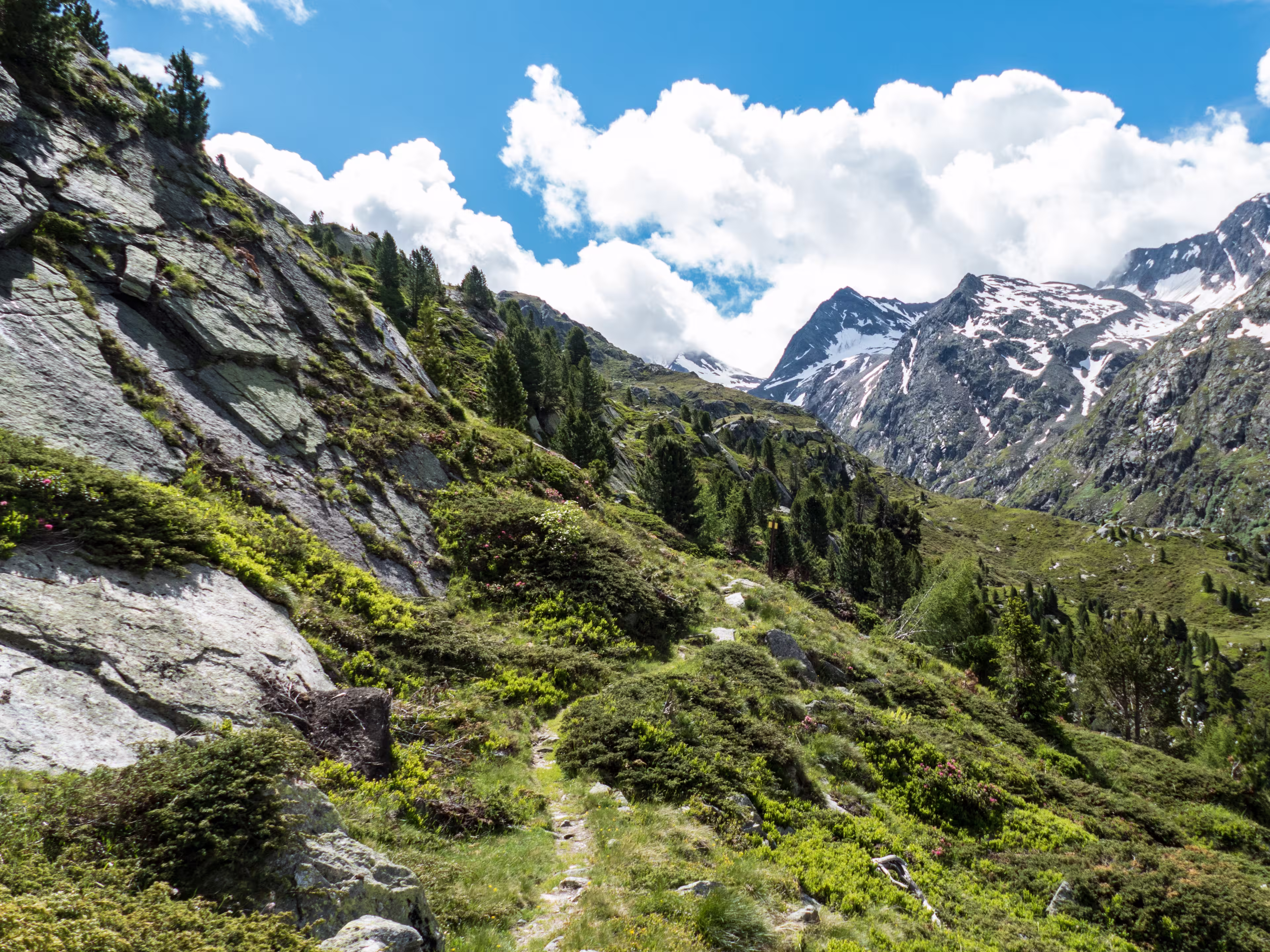 amazing beautiful summer scenery in otztal alps in austria