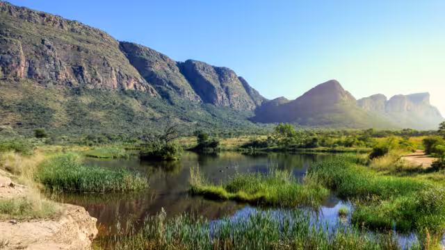 Beautiful view of swamp with hippos and a mountain range in the background. Entabeni waterberg.