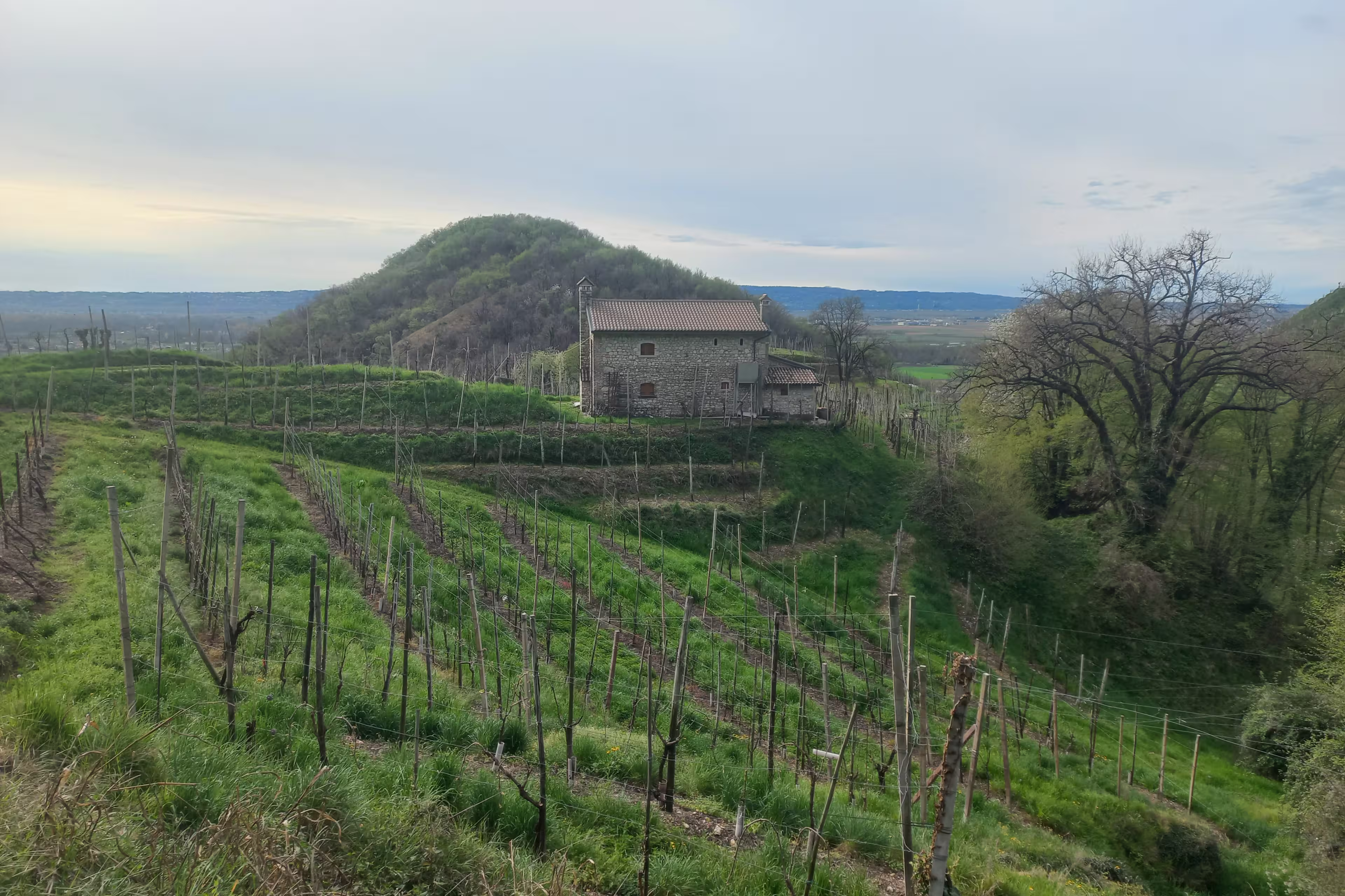 Venetien - Wanderung entlang der Prosecco-Straße