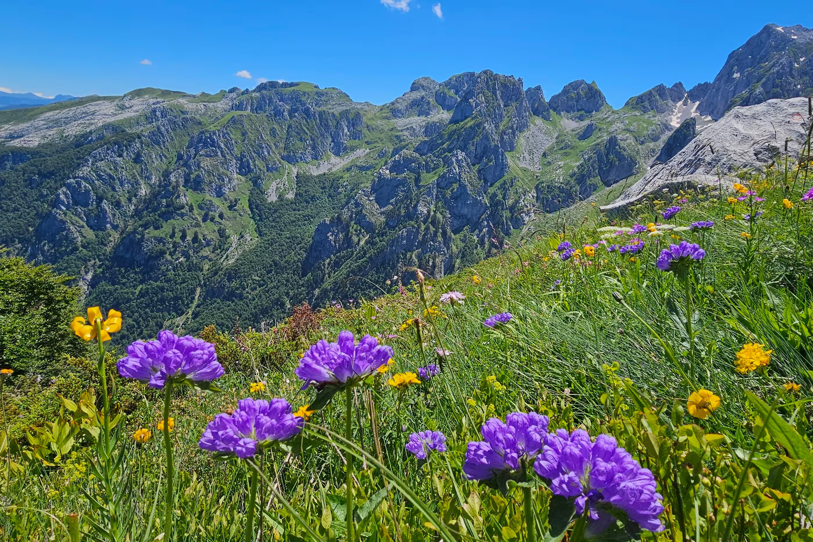 Albanien & Montenegro - Highlights der Peaks of the Balkans mit Hotelkomfort