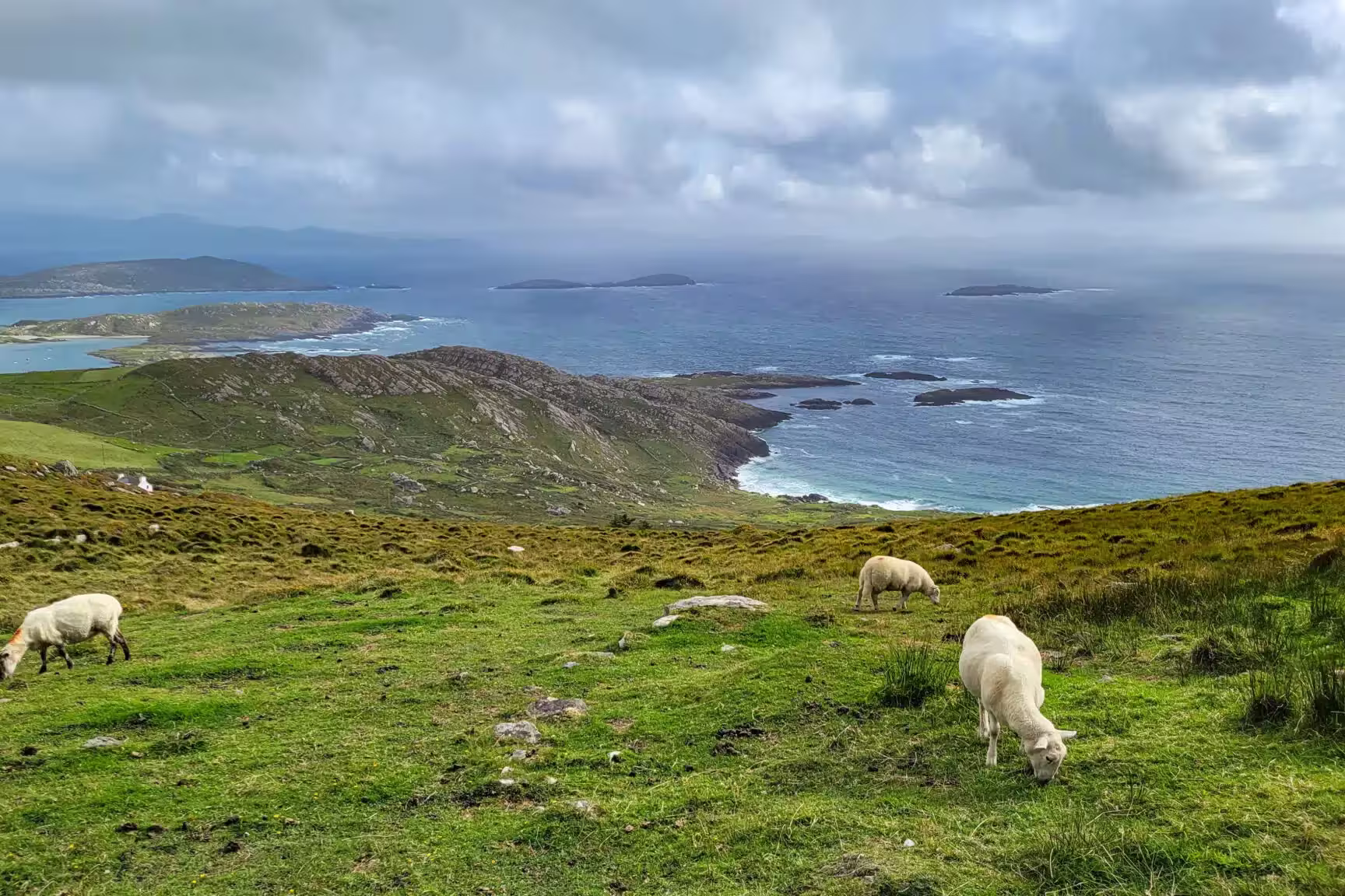 8-tägige komfortable Selbstwanderung auf dem Kerry Way