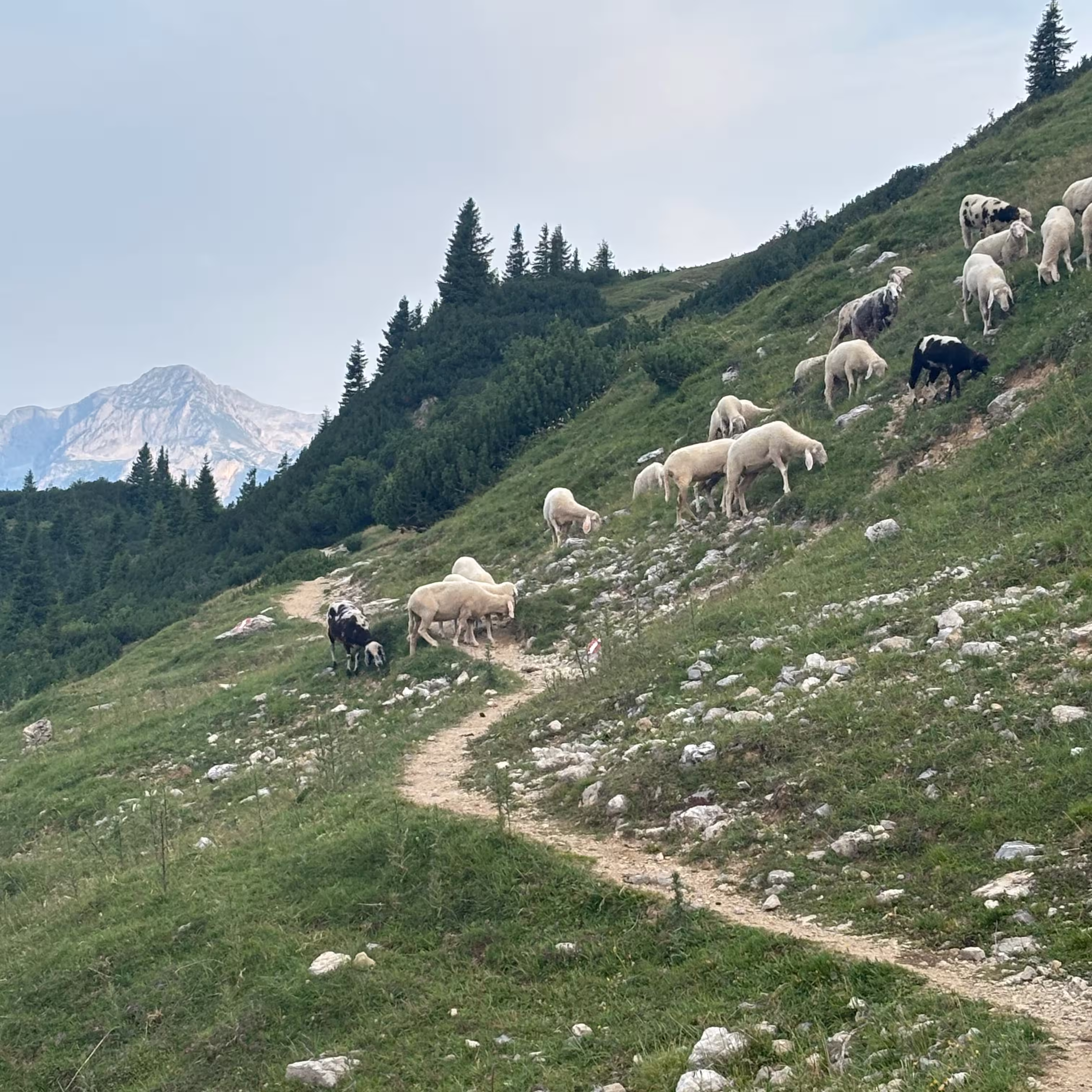 © Annegret Reiseimpression von Annegret