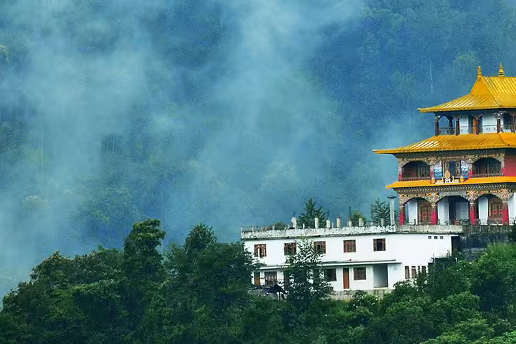 India Expedition: Sikkim, Assam & Nagaland - 1