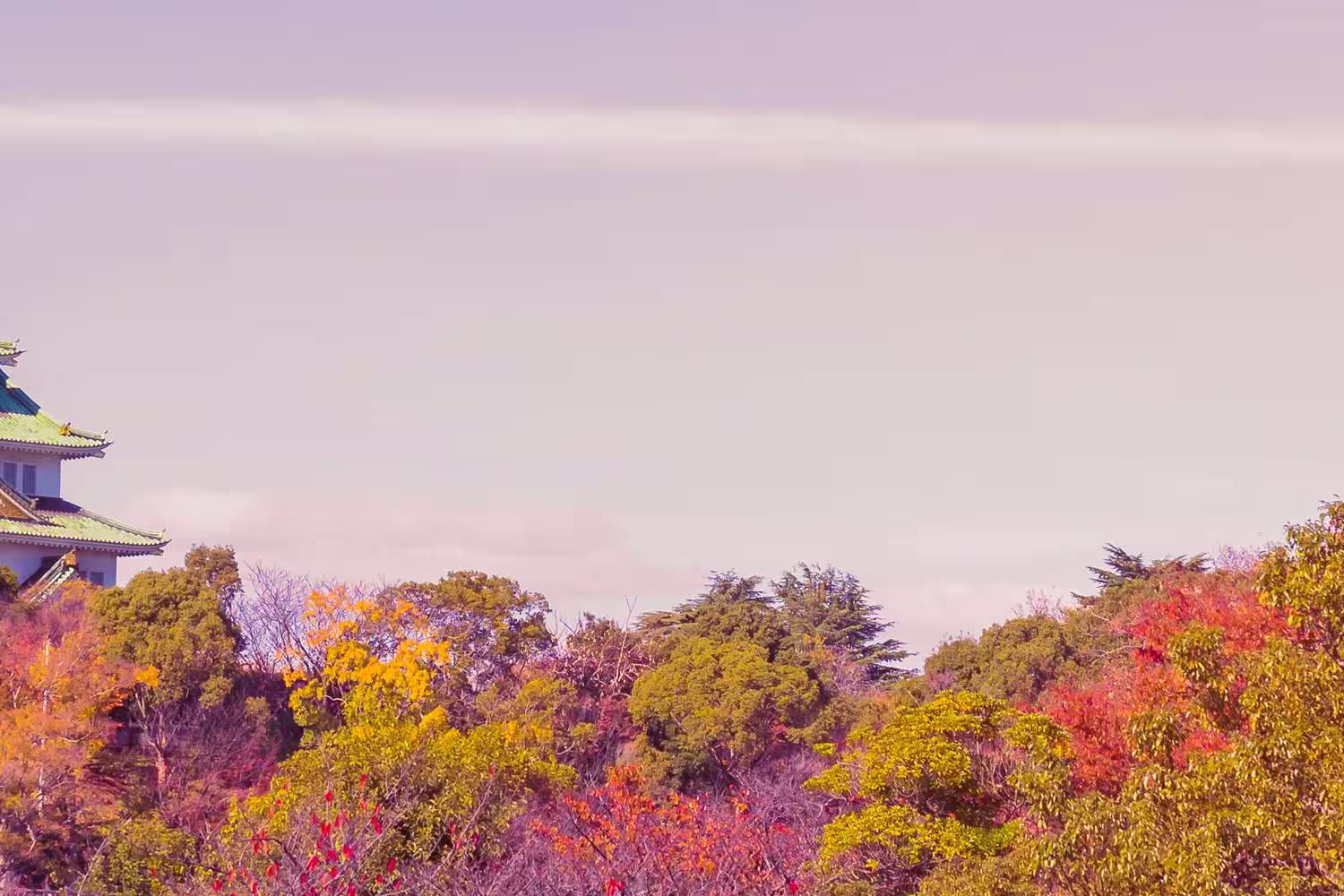 Southern Japan Experience - 1