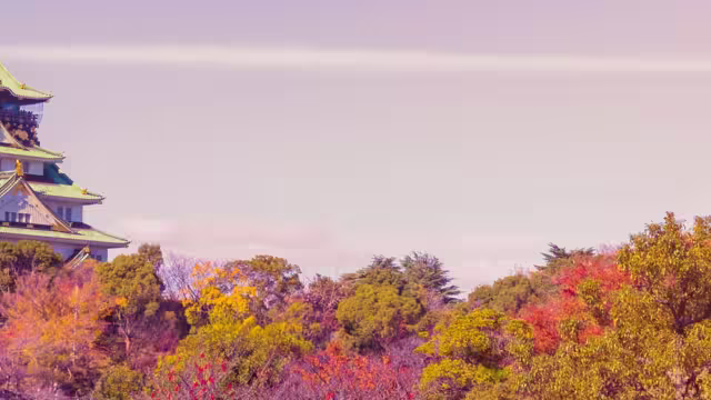 Osaka park autumn