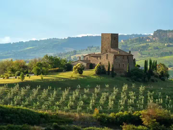 Orvieto, Umbria, Italy - July 13, 2014: this lovely spot is nearby Orvieto. The countryside all around shows vinegard and olive grove also wheat fields ready for the harvest. In the foreground an old "casale" with tower for watching. In the background on the right, the rock called "la rocca".