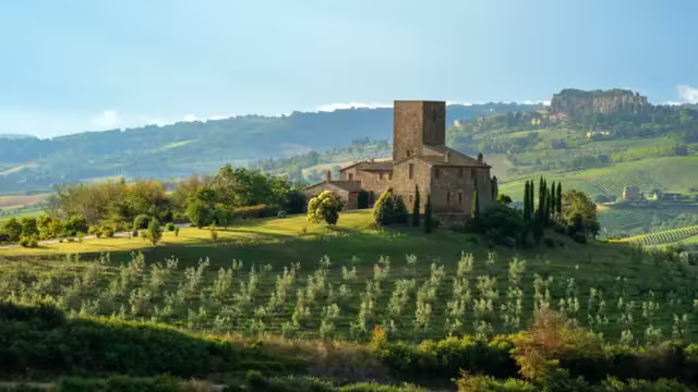 Orvieto, Umbria, Italy - July 13, 2014: this lovely spot is nearby Orvieto. The countryside all around shows vinegard and olive grove also wheat fields ready for the harvest. In the foreground an old "casale" with tower for watching. In the background on the right, the rock called "la rocca".