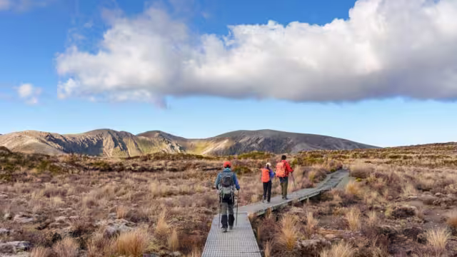 Group of travellers hiking along the track in the Tongariro Alpine Crossing, with mountainscape in view
