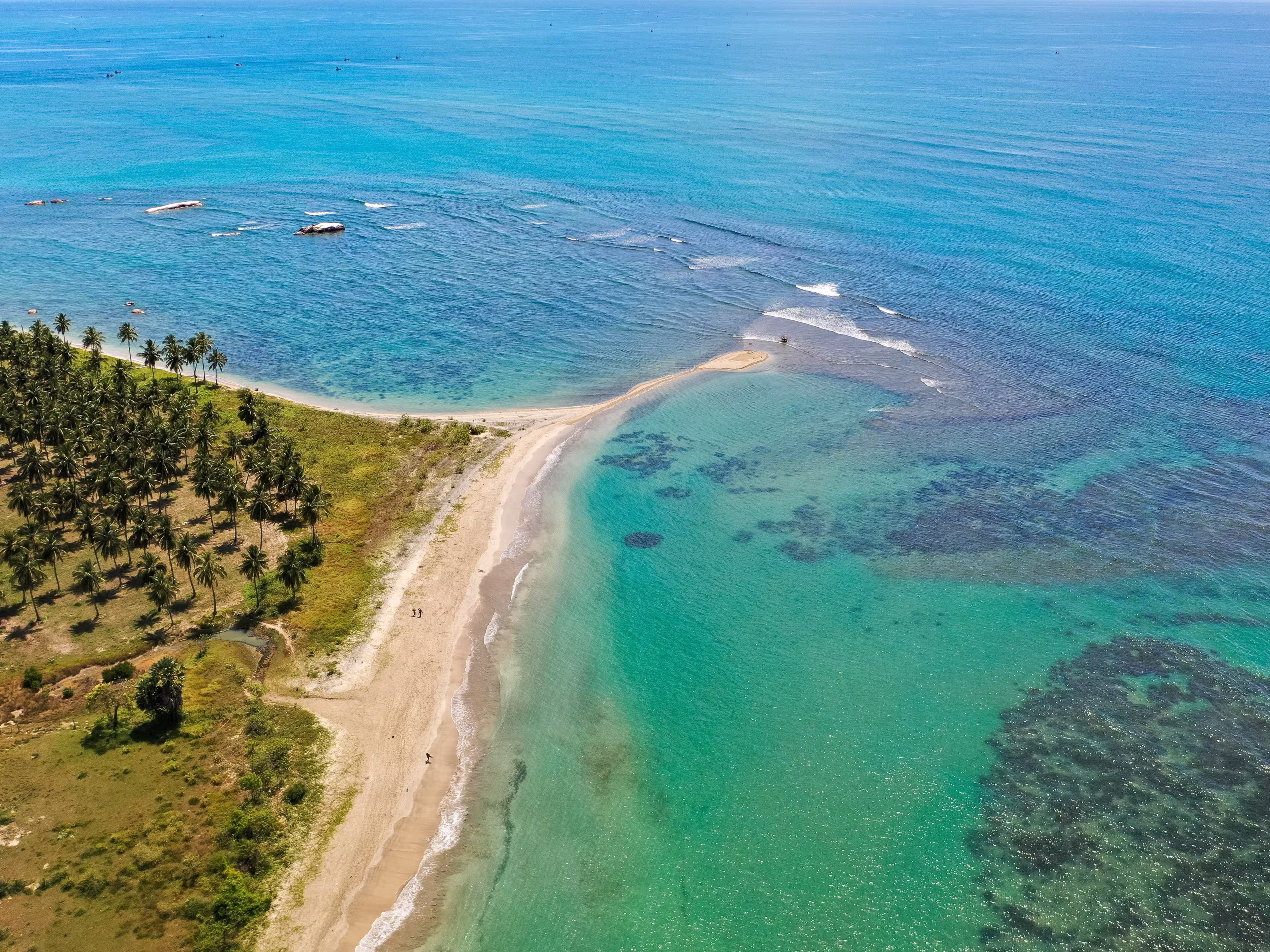Aerial view of beach, clear ocean and palm trees in Pasikuda, Sri Lanka