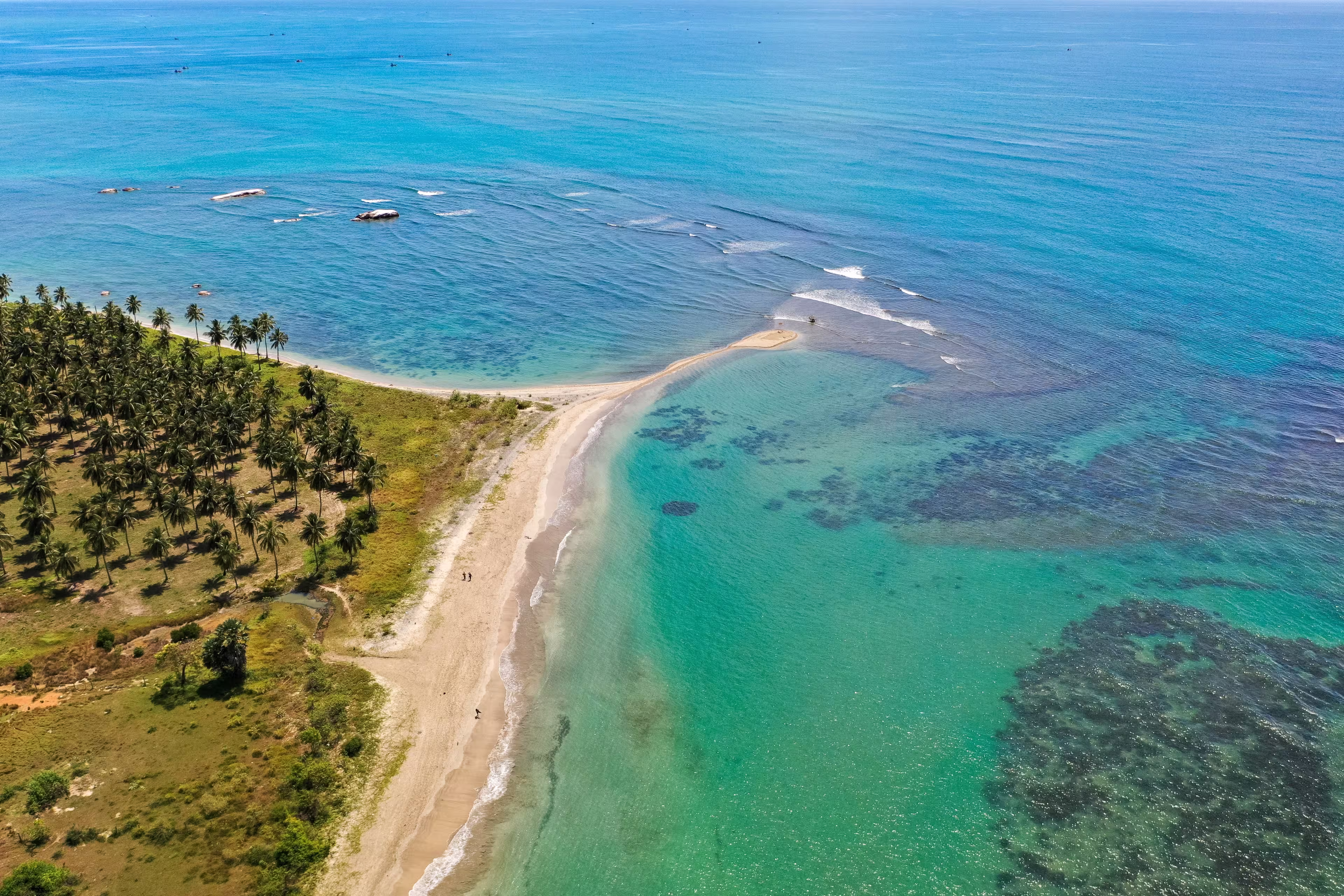 Aerial view of beach, clear ocean and palm trees in Pasikuda, Sri Lanka