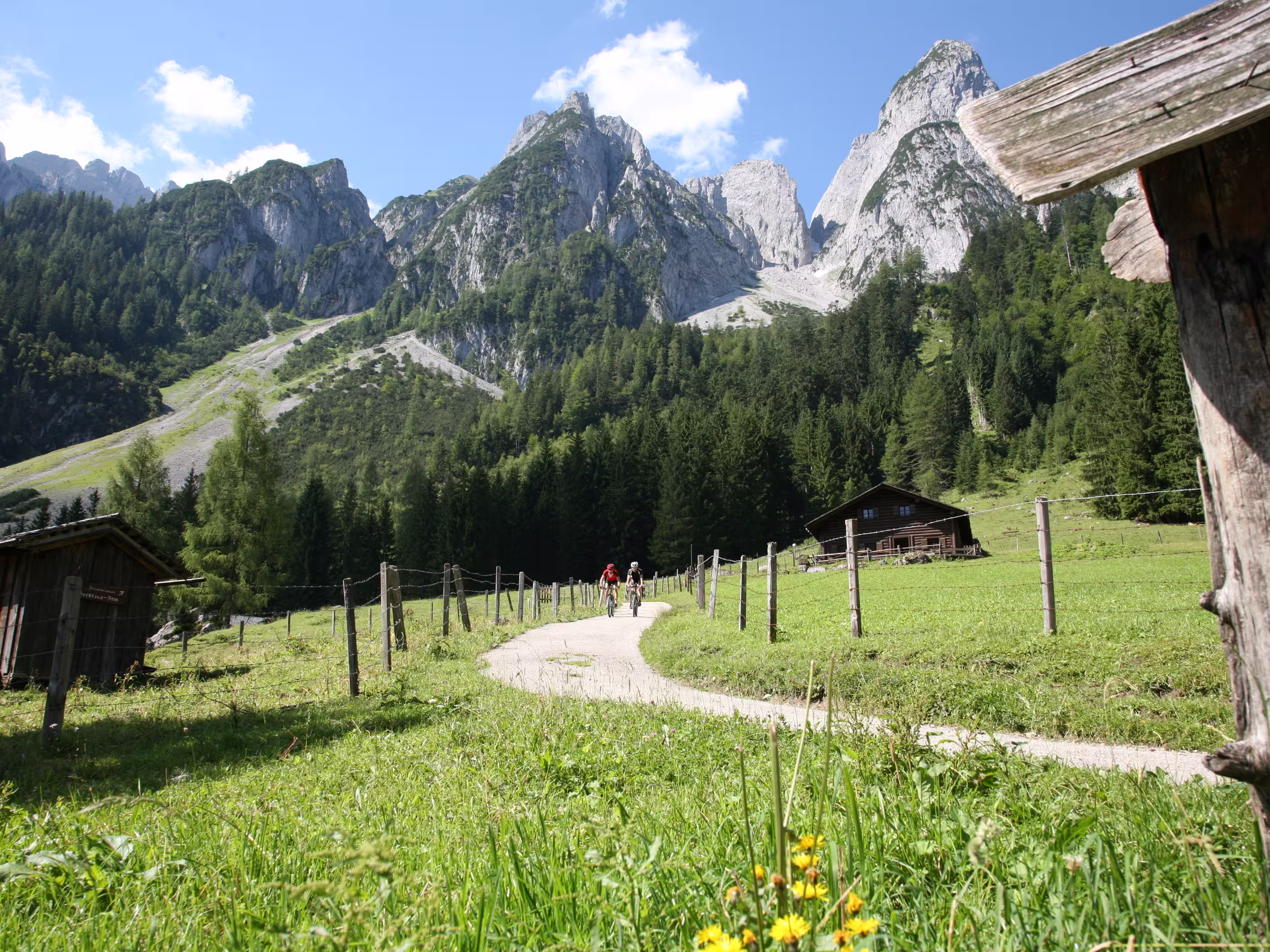 Salzkammergut Gosau Alm