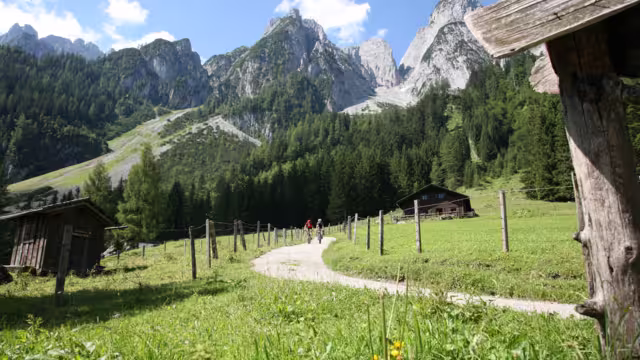 Salzkammergut Gosau Alm