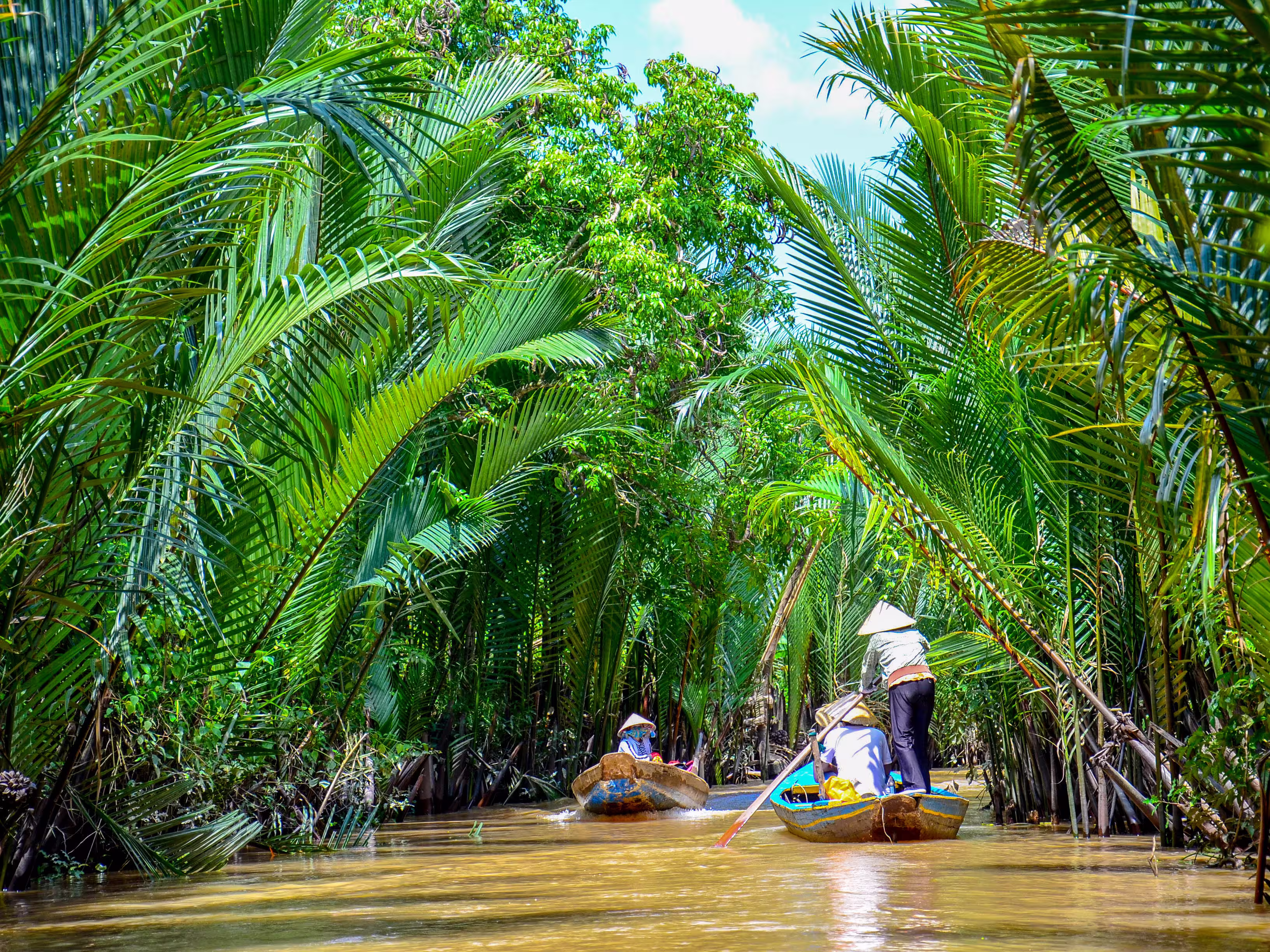 Paddle boats Mekong Delta Vietnam
