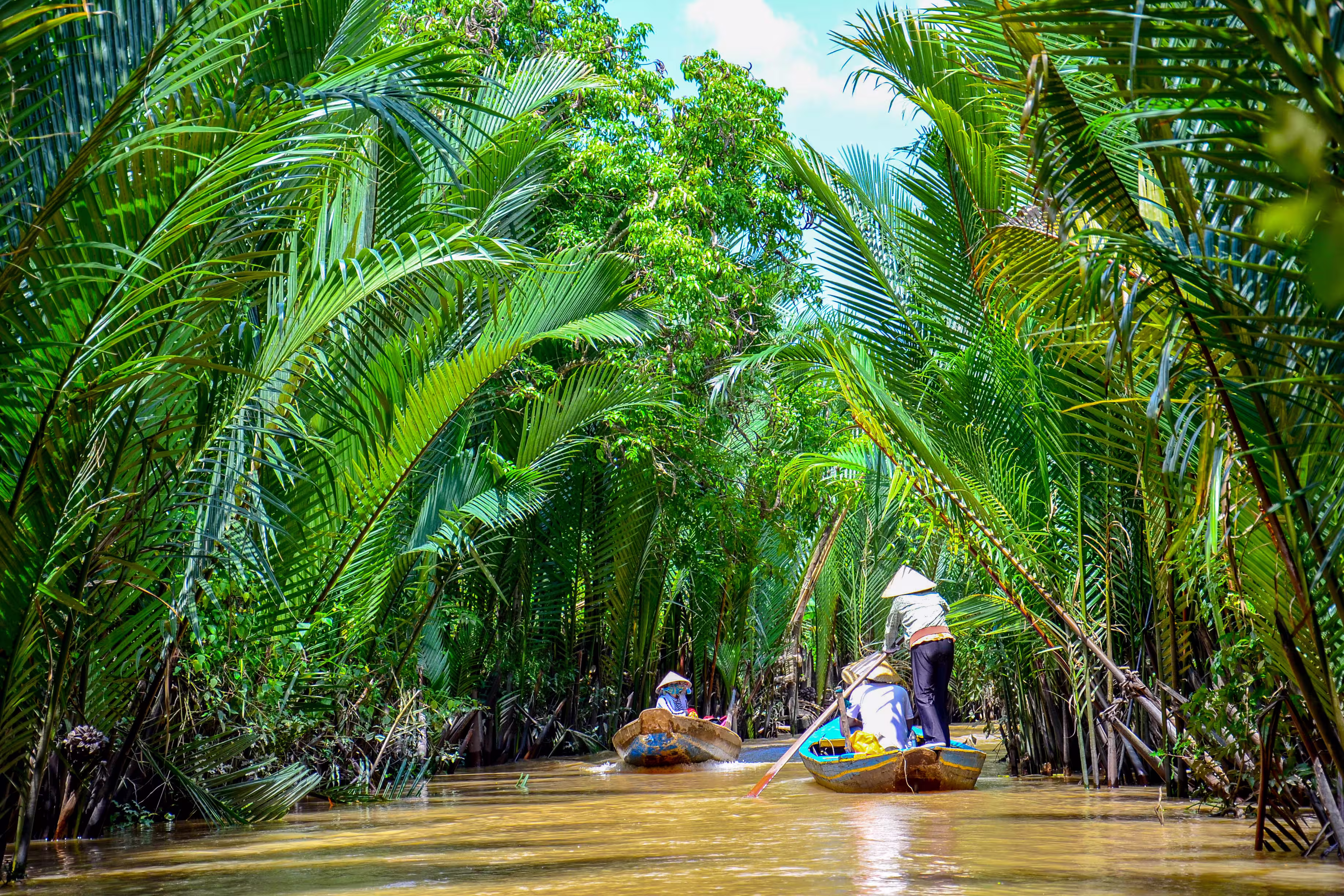 Paddle boats Mekong Delta Vietnam