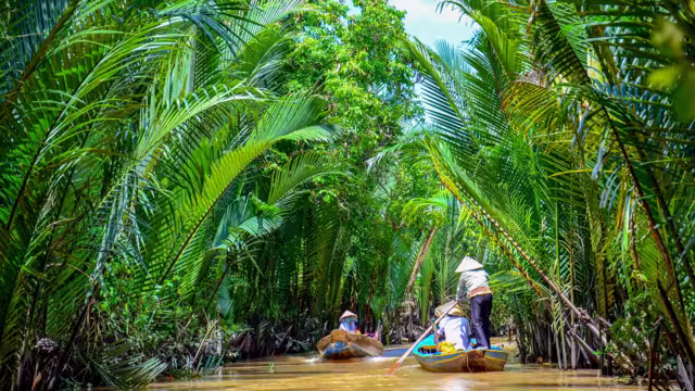 Paddle boats Mekong Delta Vietnam