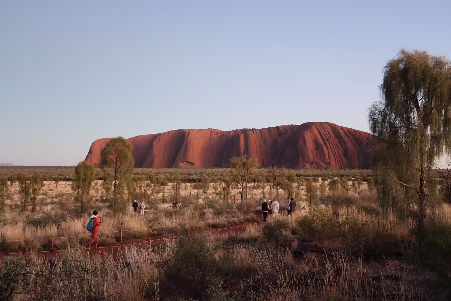 Blick auf den Uluru