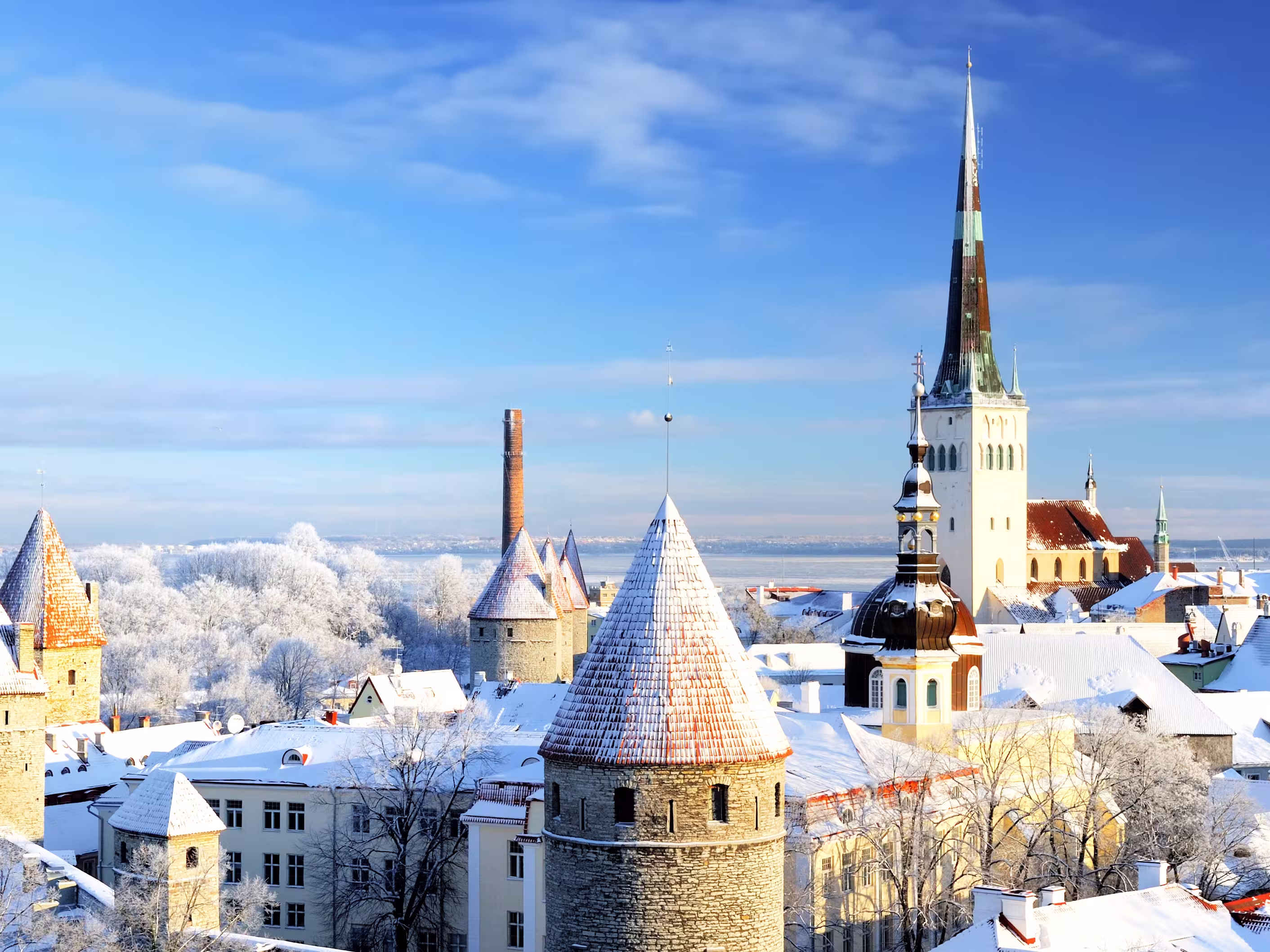 Tallinn old town. Estonia. Snow on trees in winter, panoramic view