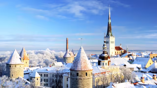Tallinn old town. Estonia. Snow on trees in winter, panoramic view