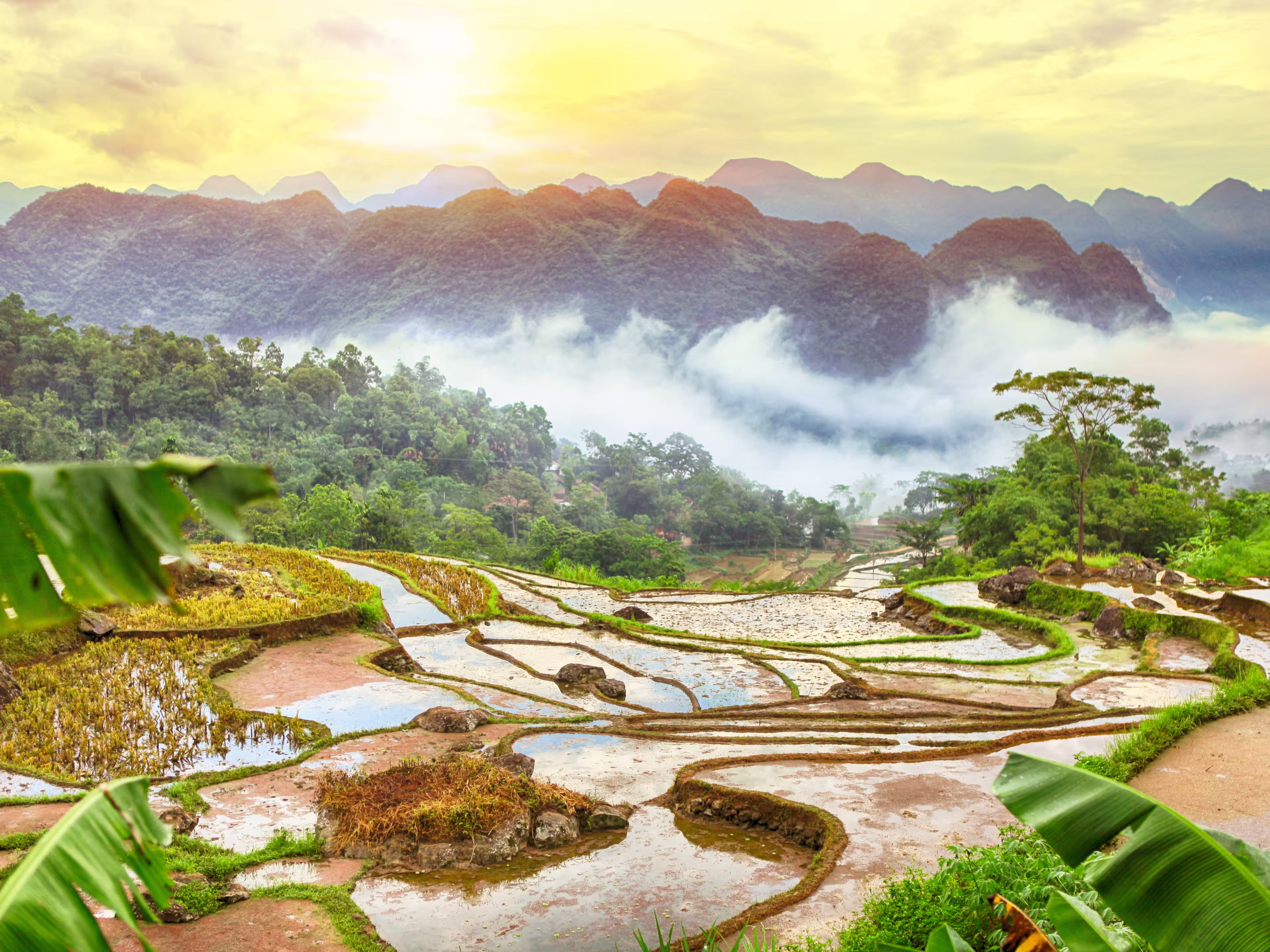 Terraced rice field in water season in Pu Luong, Thanh Hoa, Vietnam.