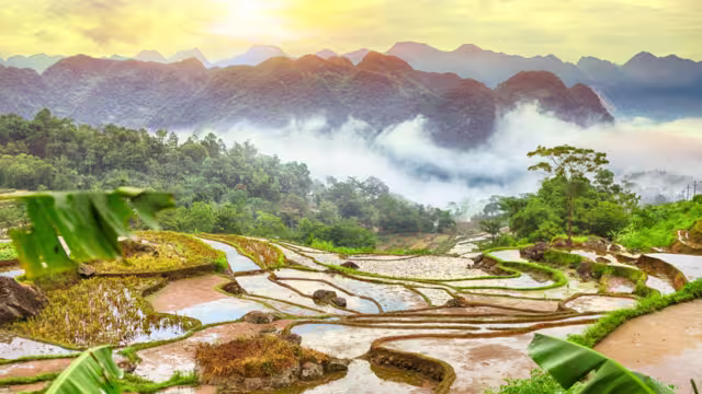 Terraced rice field in water season in Pu Luong, Thanh Hoa, Vietnam.