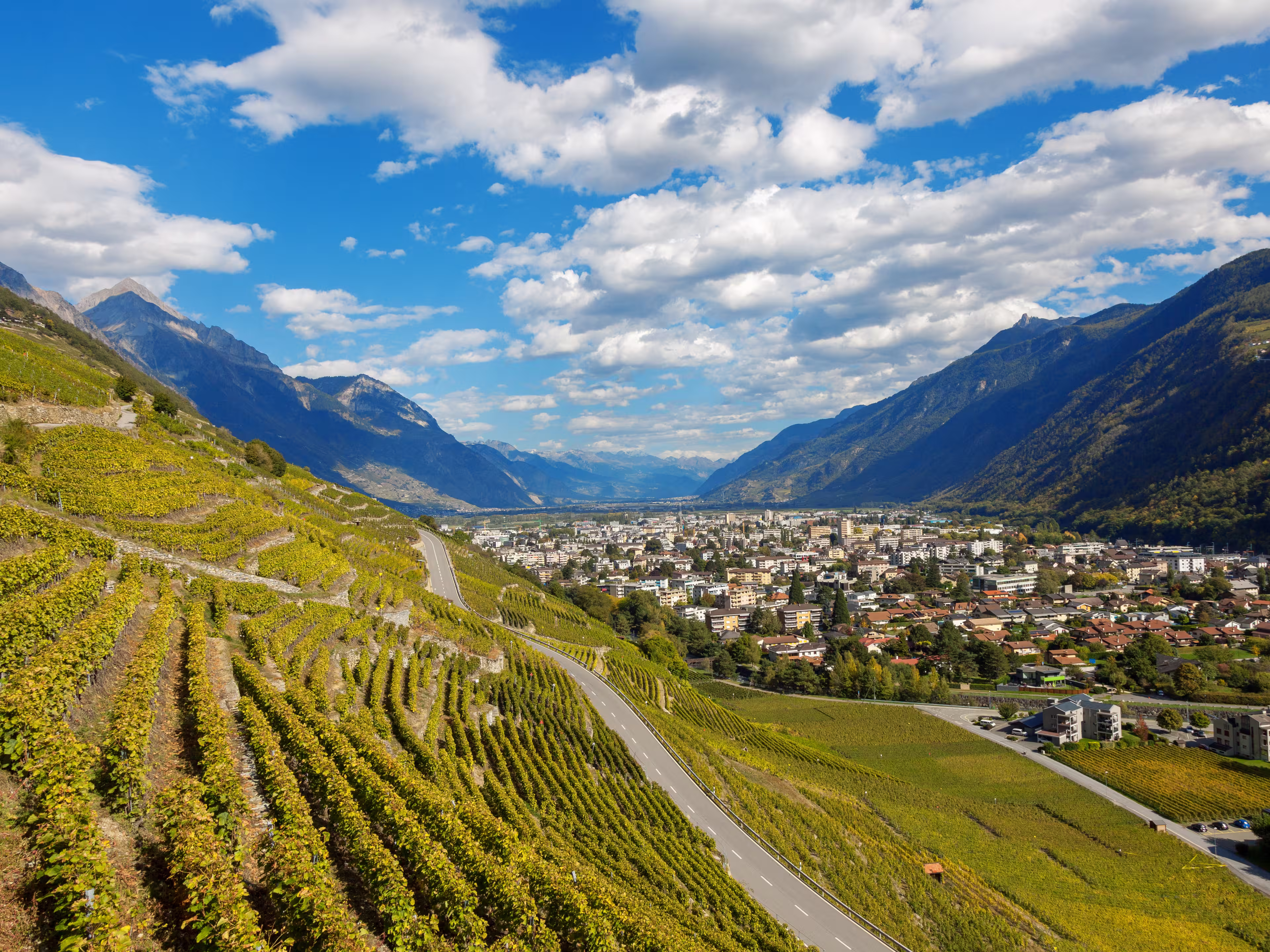 Blick auf Weinterrassen bei Martigny im Wallis