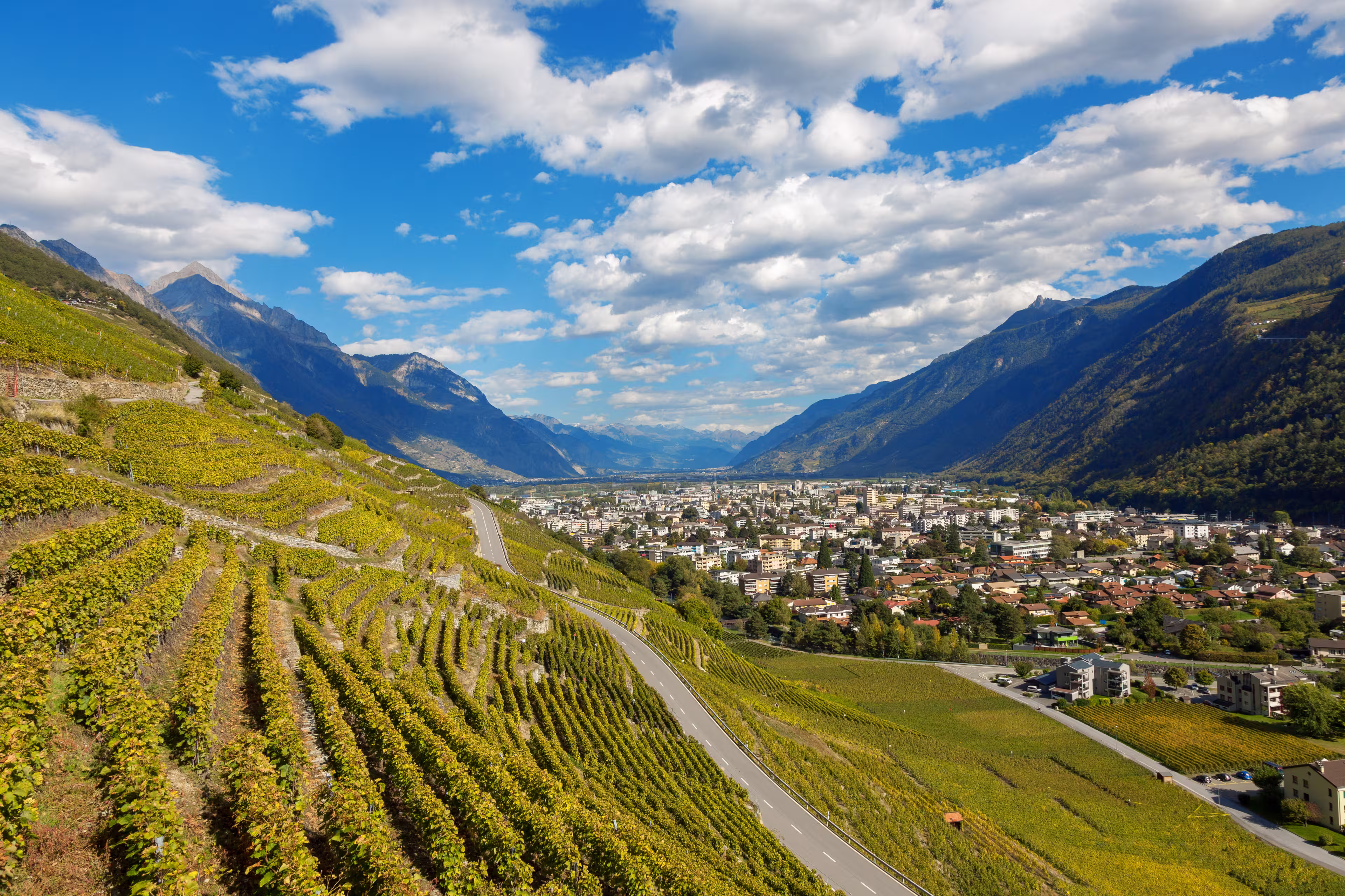 Blick auf Weinterrassen bei Martigny im Wallis