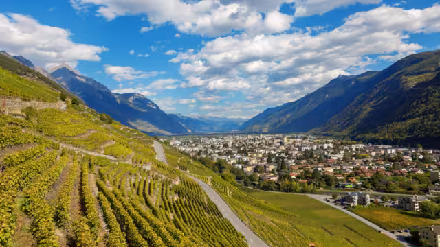 Blick auf Weinterrassen bei Martigny im Wallis