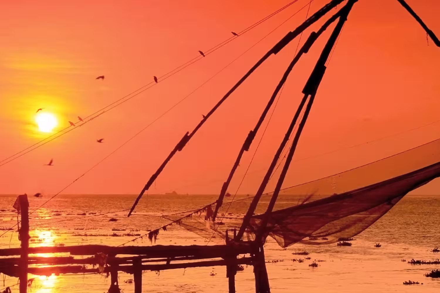 Kochi fishing nets