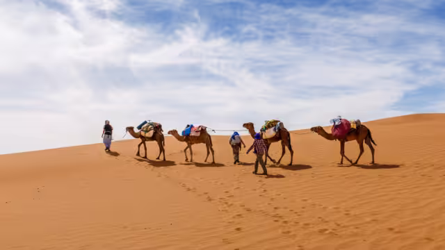 Camels caravan in the sahara desert, camel caravan goes along the sand dunes, Morocco