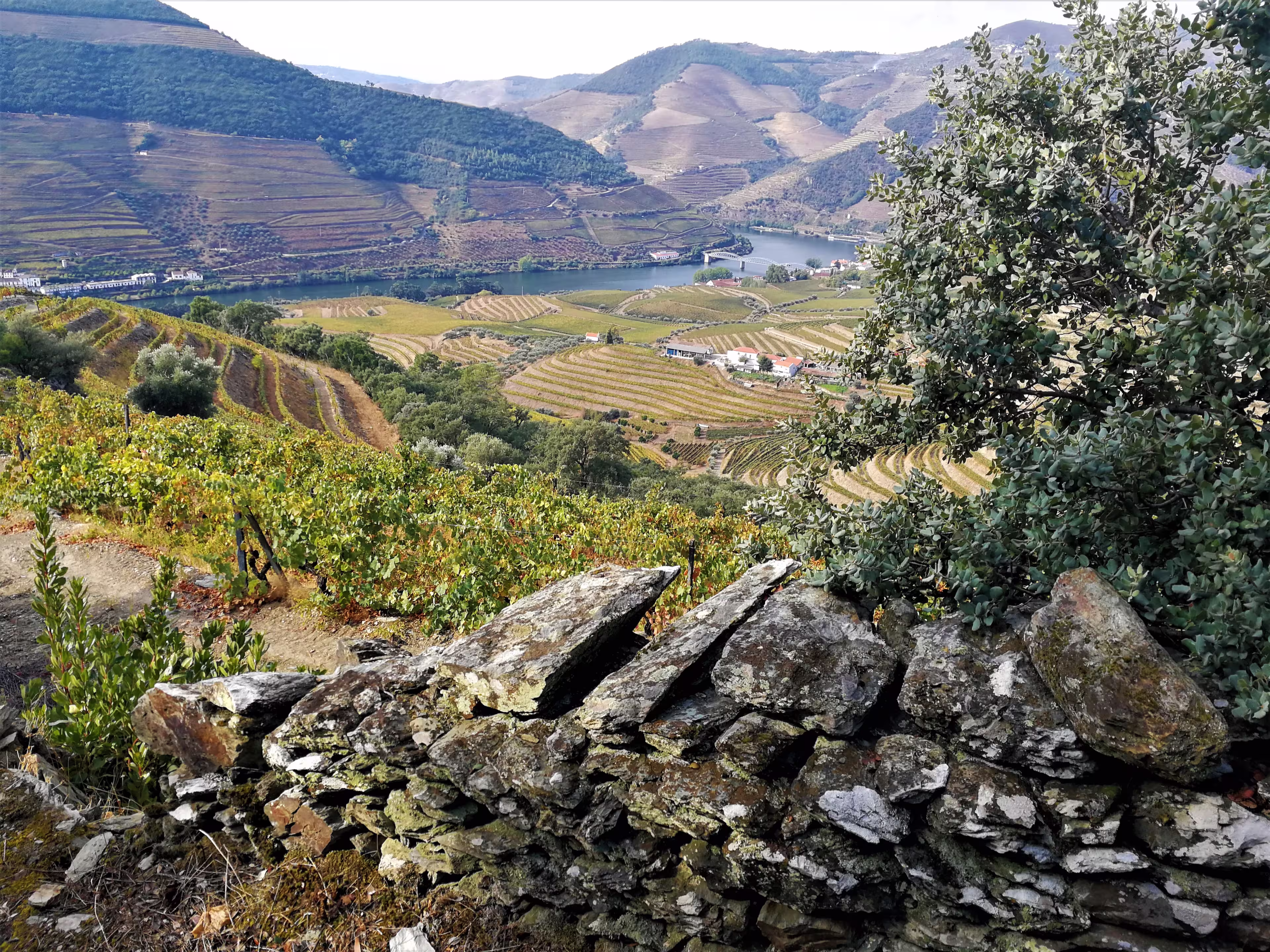 Douro Tal