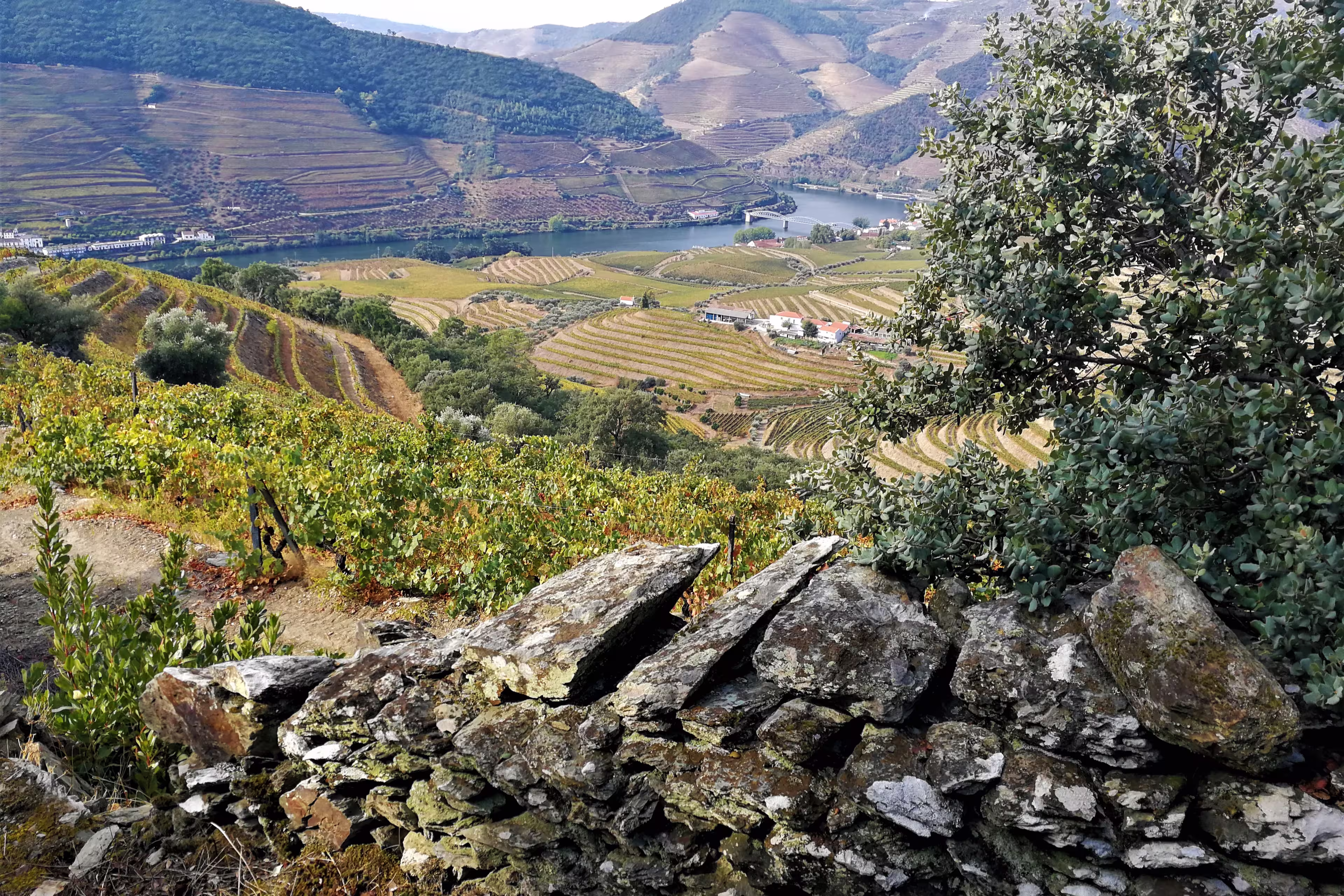 Douro Tal