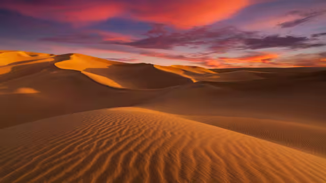 Beautiful sand dunes in the Sahara desert.