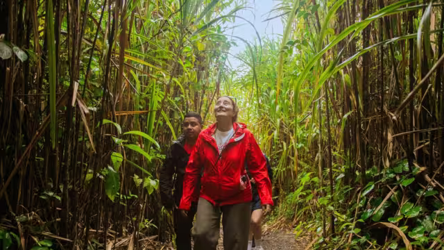 Exploring the rainforests of Costa Rica with Intrepid Travel