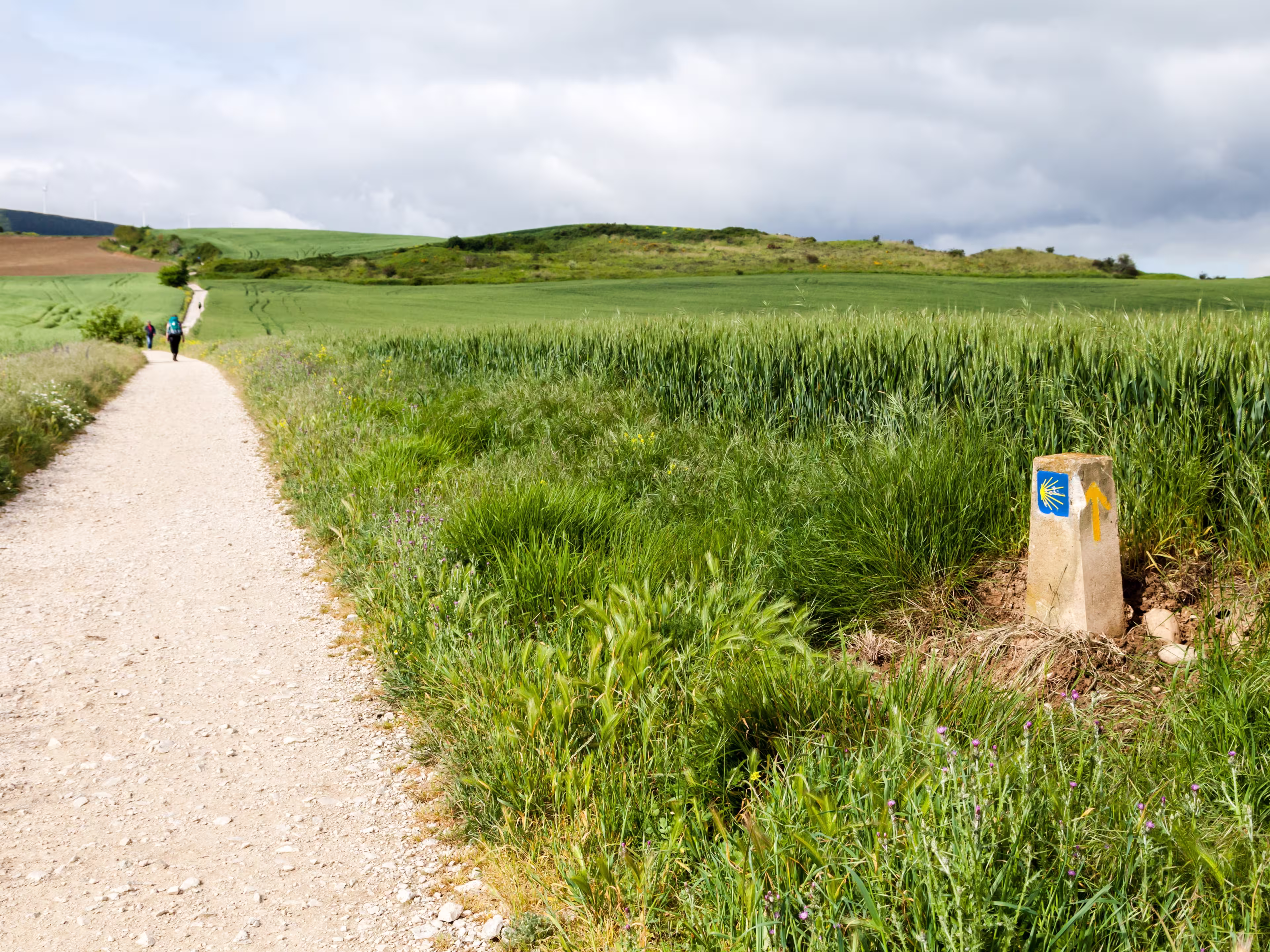 A serene path leads through vibrant greenery in the French Pyrenees, inviting pilgrims to explore the Camino de Santiago.