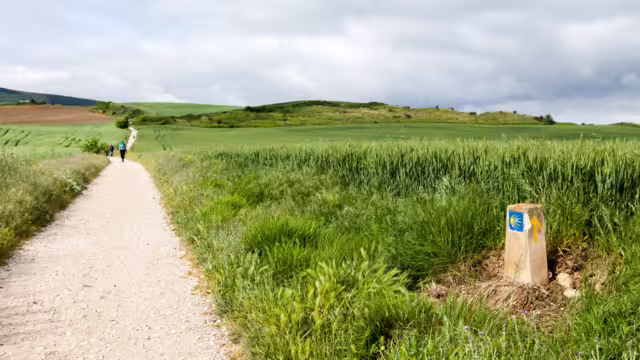 A serene path leads through vibrant greenery in the French Pyrenees, inviting pilgrims to explore the Camino de Santiago.
