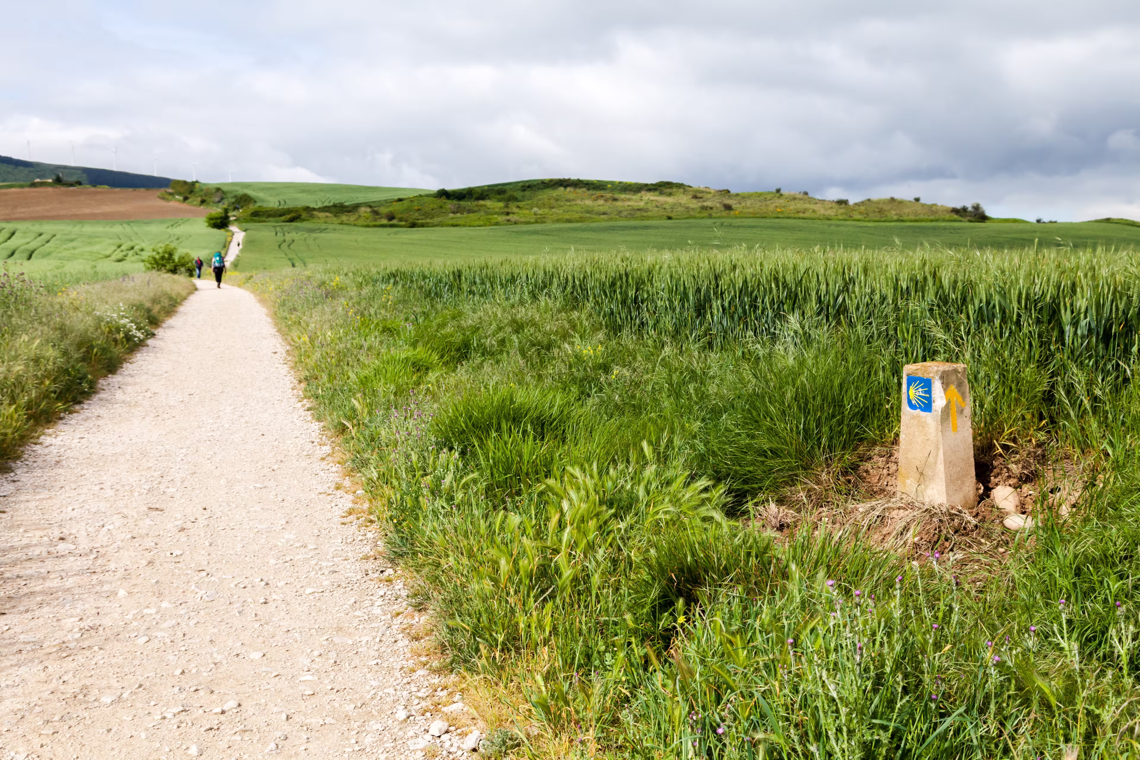 Best of Camino Frances - Der französische Jakobsweg