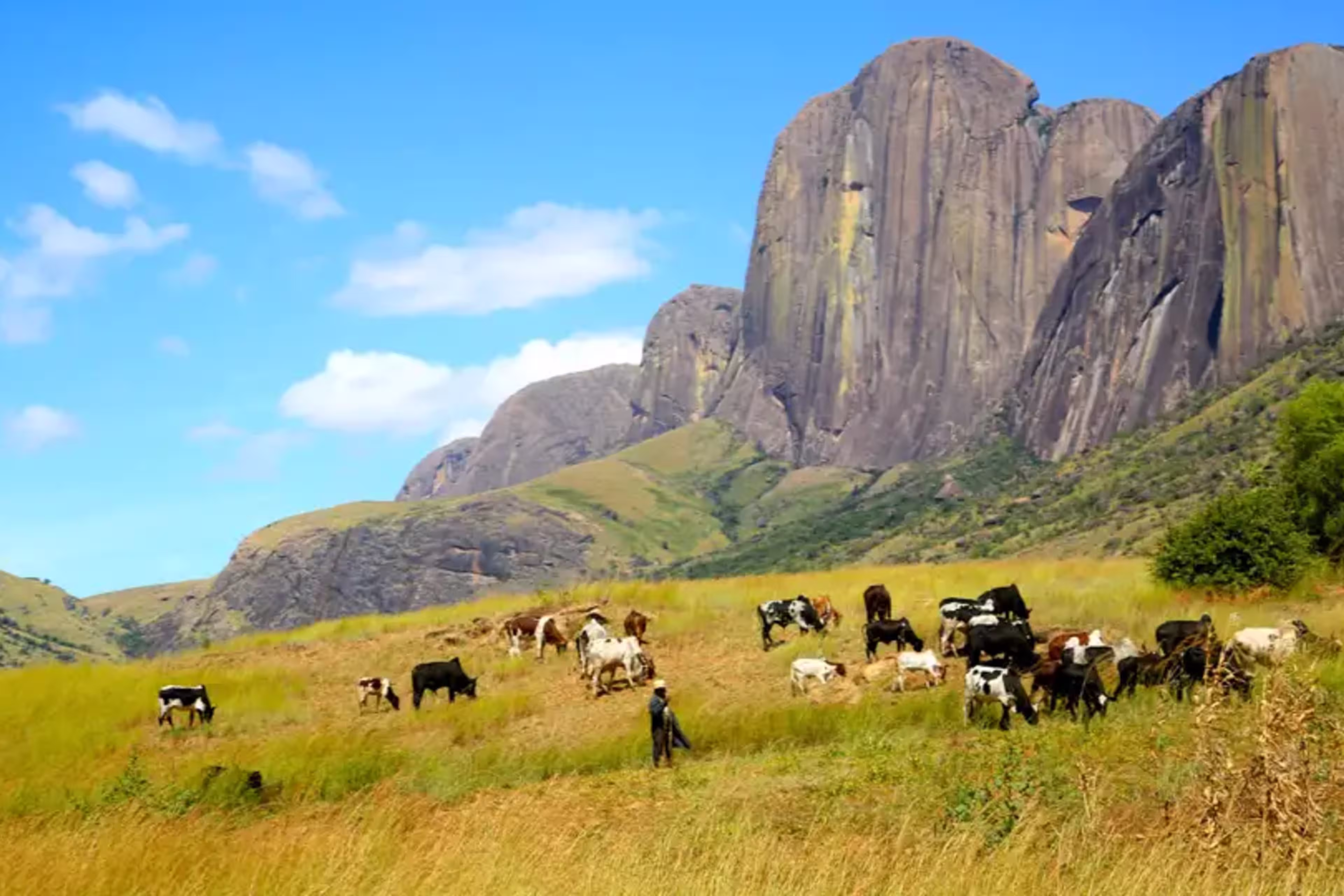 Madagaskar – Trekking durch die Wildnis