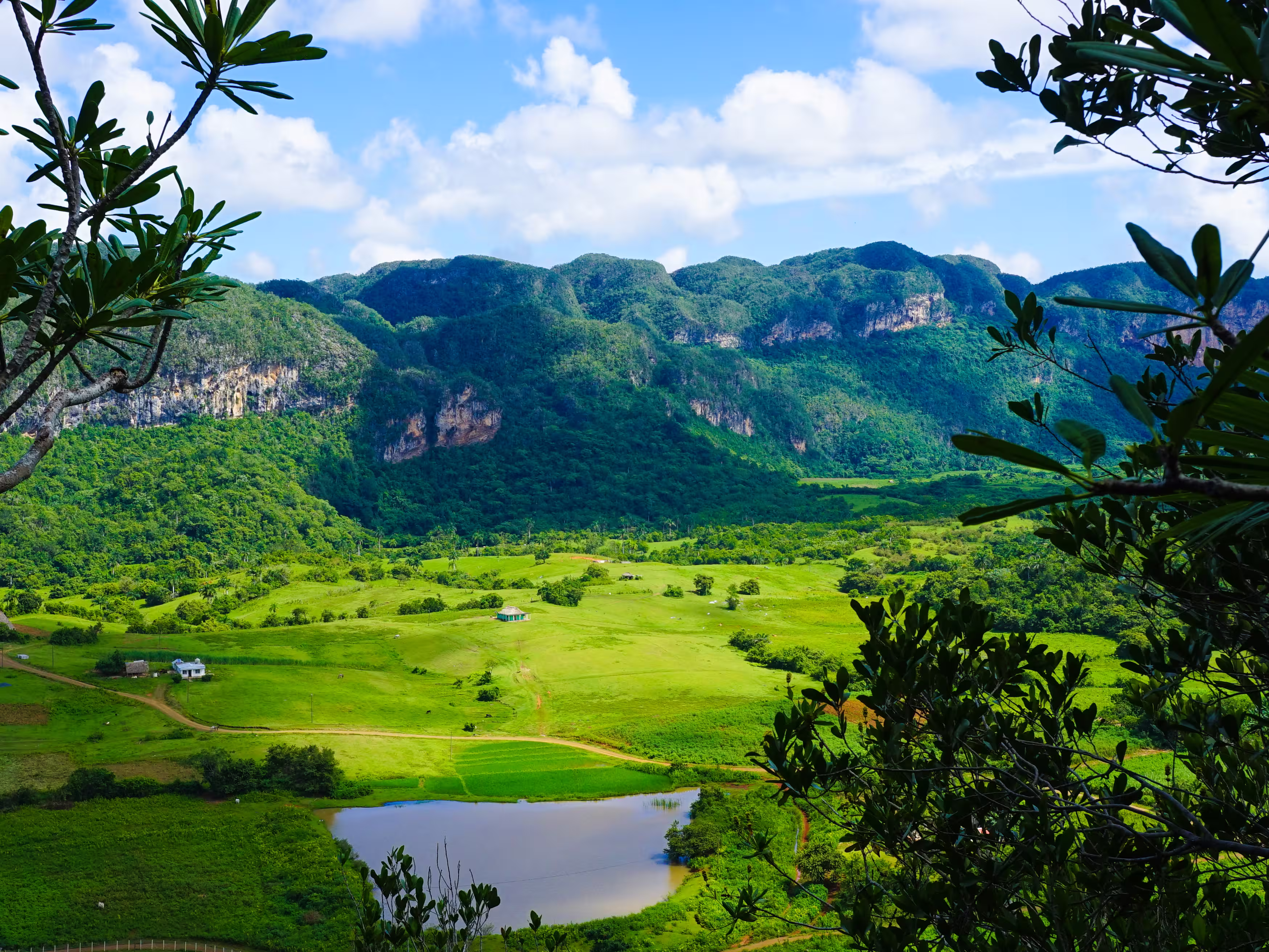 Vinales