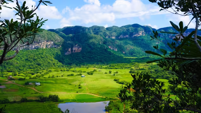 Vinales