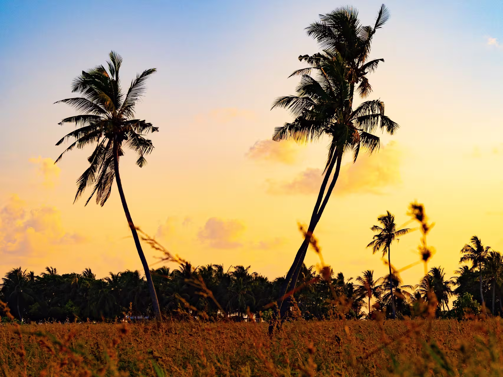 Sunset on the interior farmlands of Thoddhoo Island in the Maldives