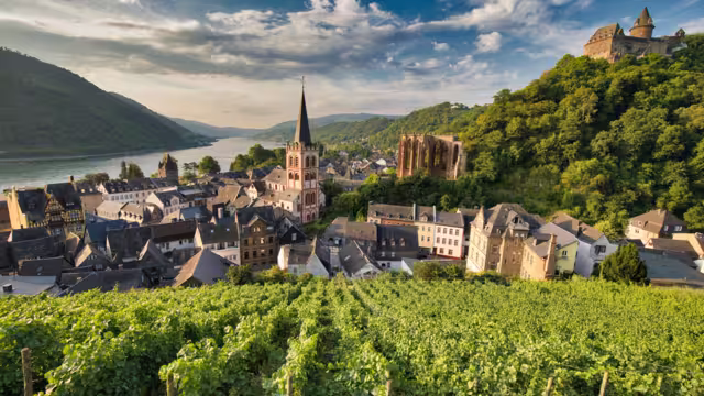 Blick auf Bacharach am Rhein