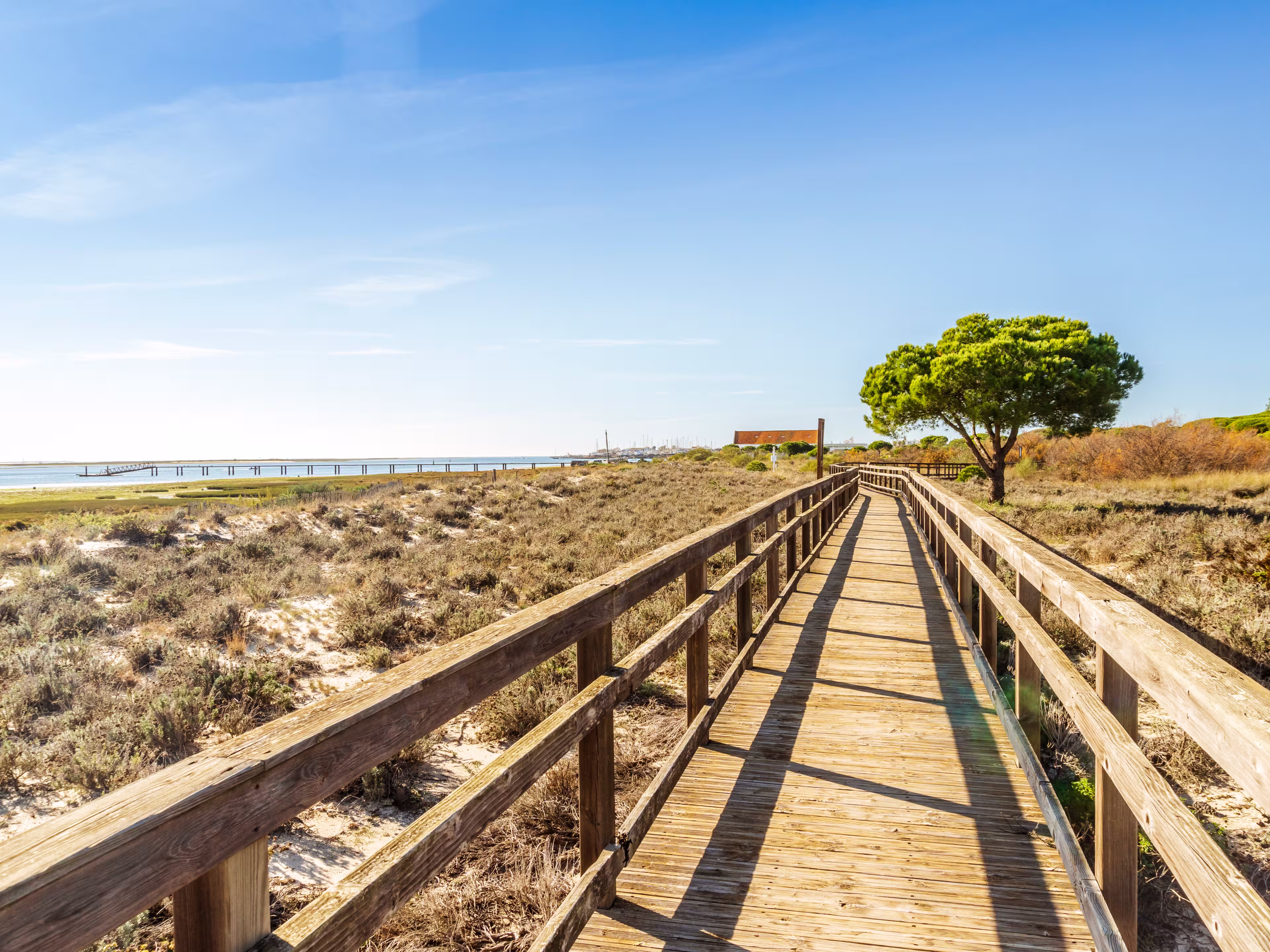 Holzsteg in Ria Formosa