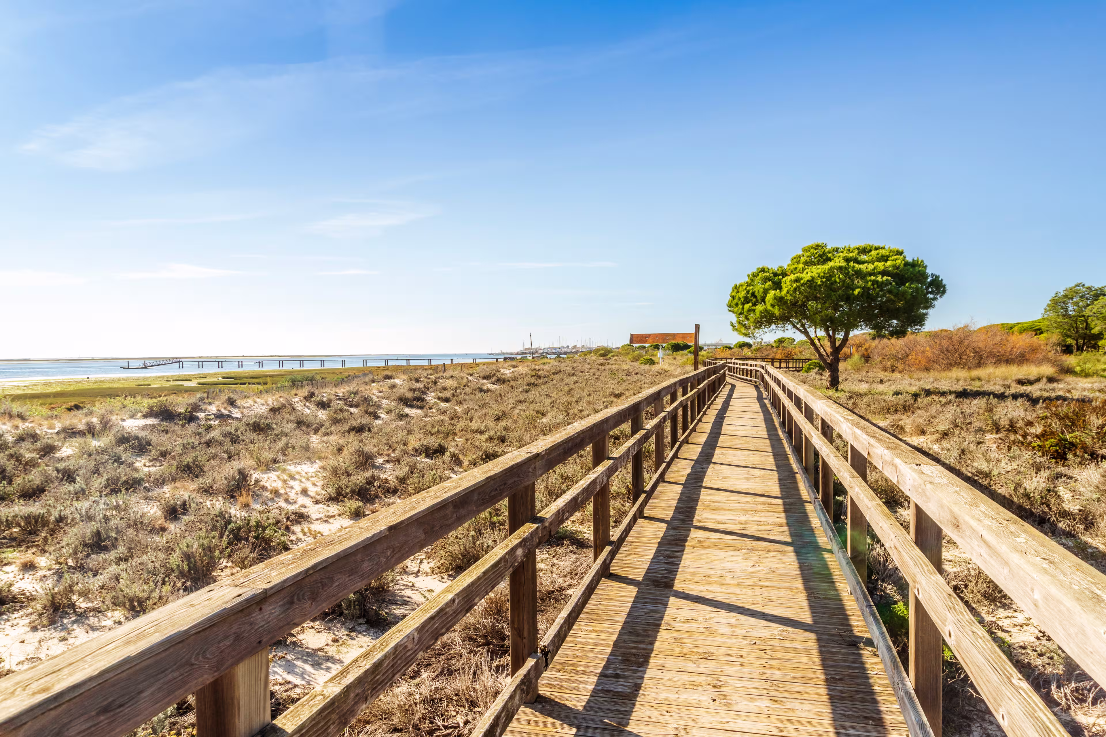 Holzsteg in Ria Formosa