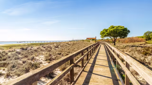Holzsteg in Ria Formosa