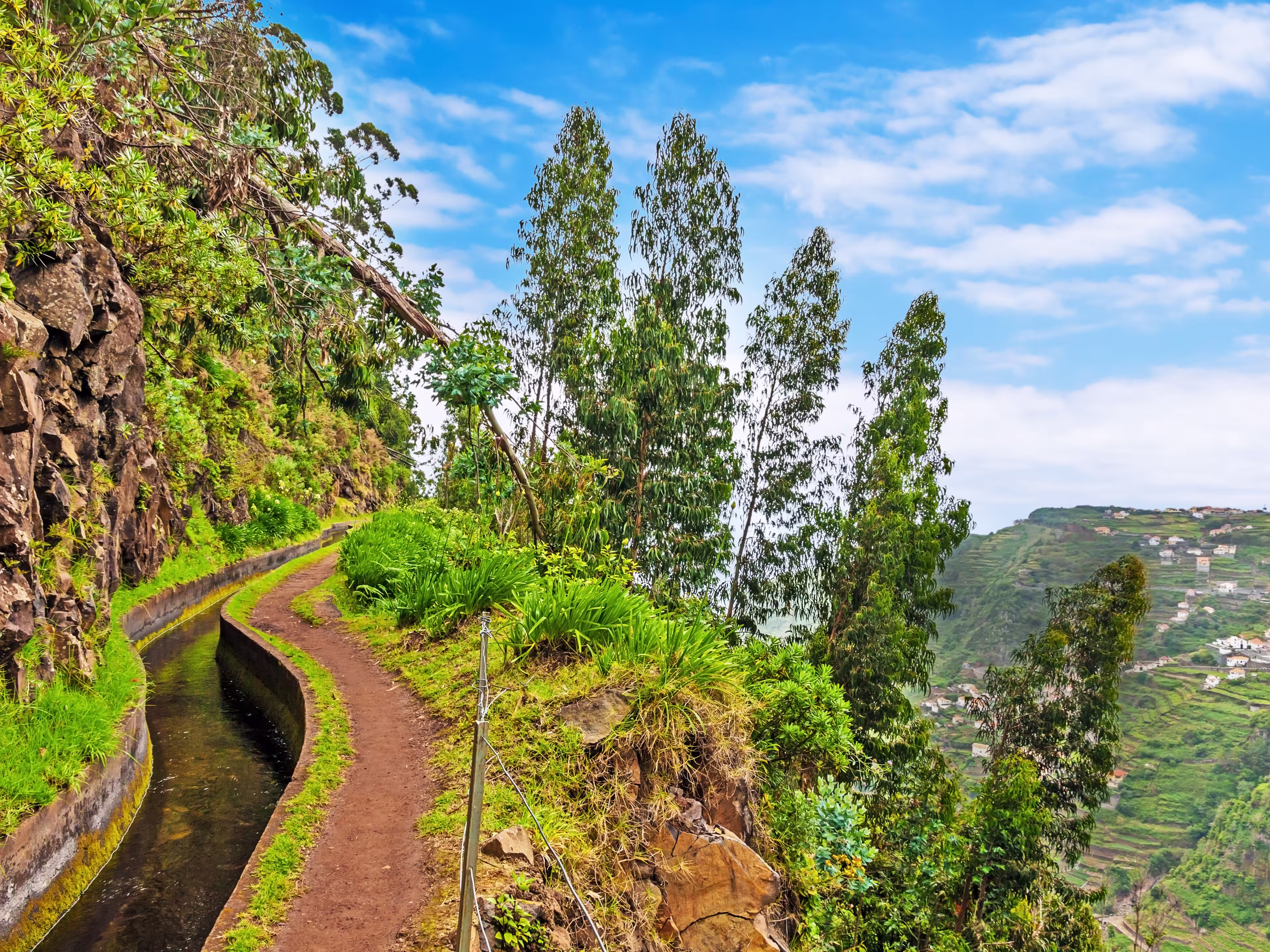 Madeira Levada