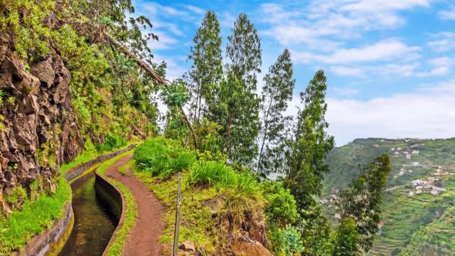 Madeira Levada