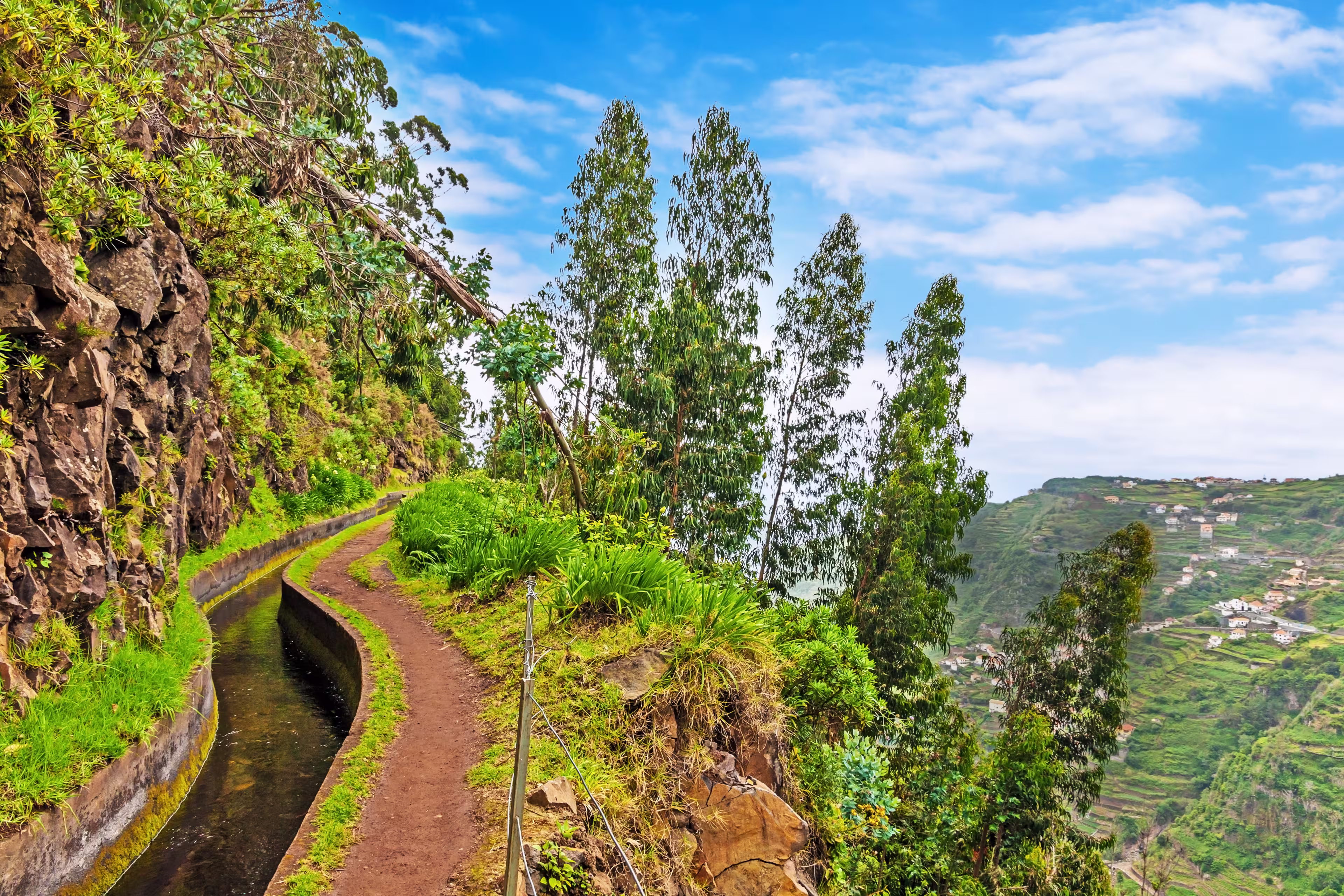 Madeira Levada