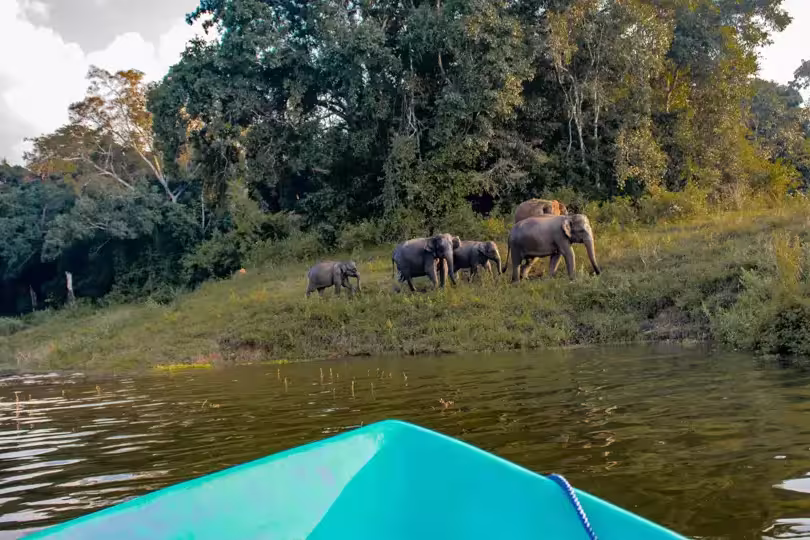 Sri Lanka – Knuckles Range & Pekoe Trail